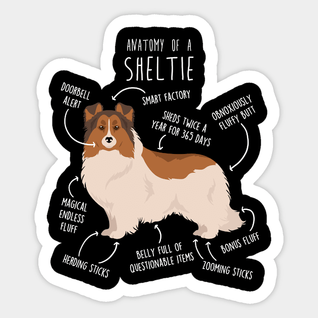 Color Headed White Sheltie Shetland Sheepdog Anatomy Sticker by Psitta